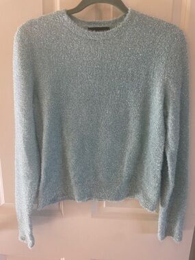 Banana Republic Pale Green Sparkly Crewneck Sweater